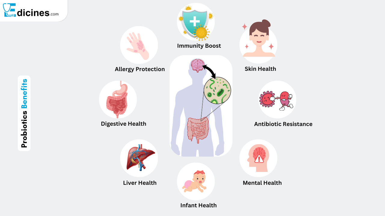 Gut Health and Probiotics Benefits