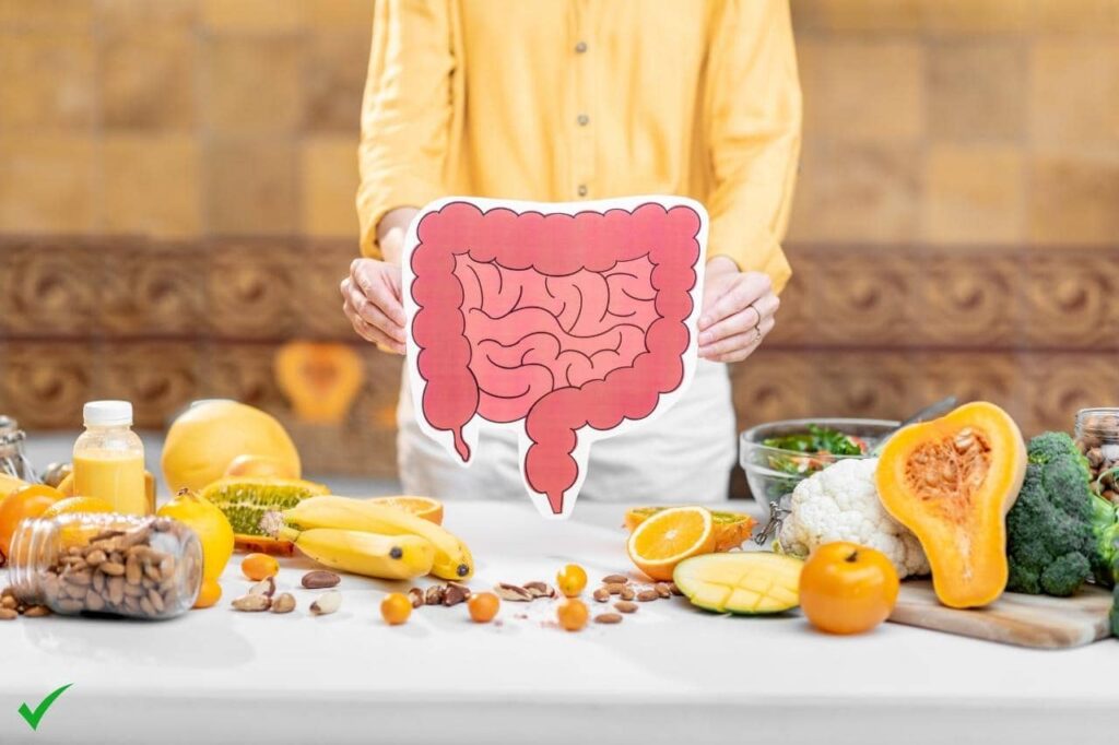 Gut Health and Probiotics: How to Support a Healthy Digestive System