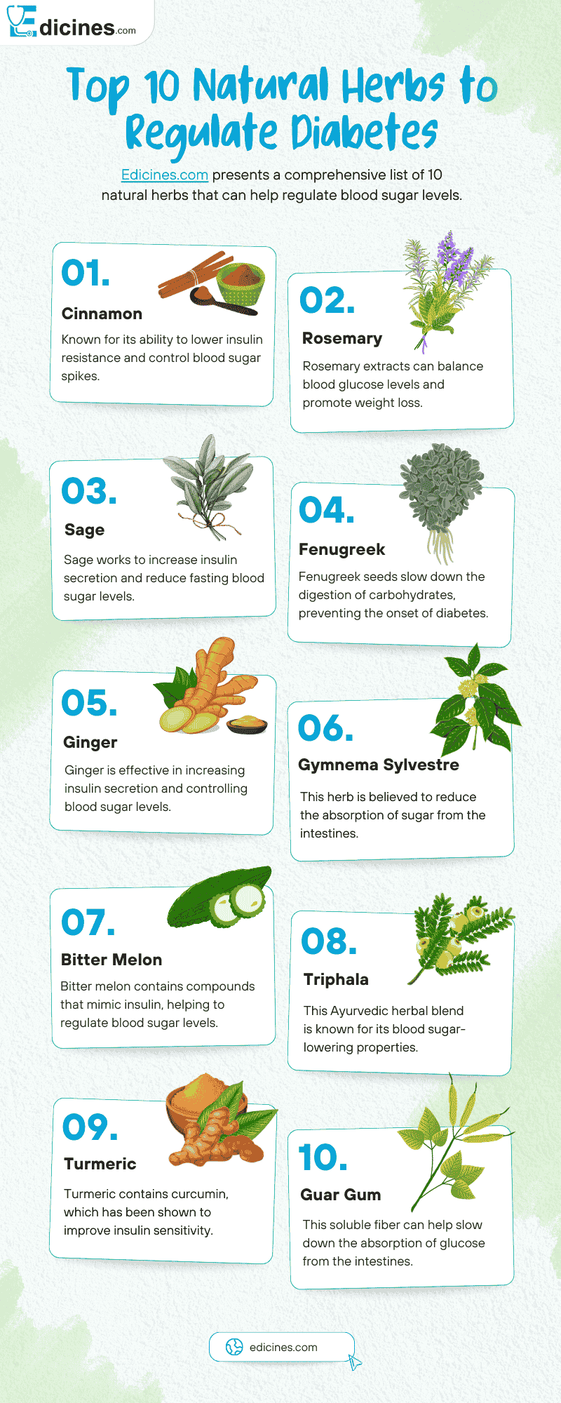 Top 10 Natural Herbs to Regulate Diabetes - Infographic