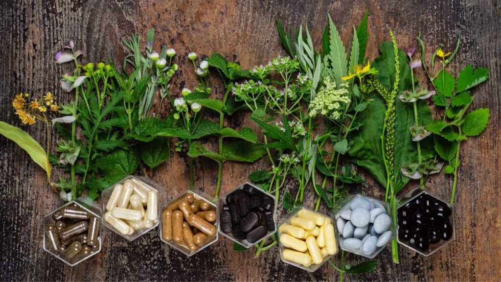 Top Herbal Supplements for Diabetes Management
