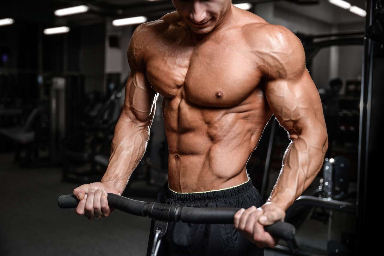 How to Build Muscles with Bodyweight Exercises